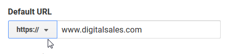 Default URL – Google Analytics