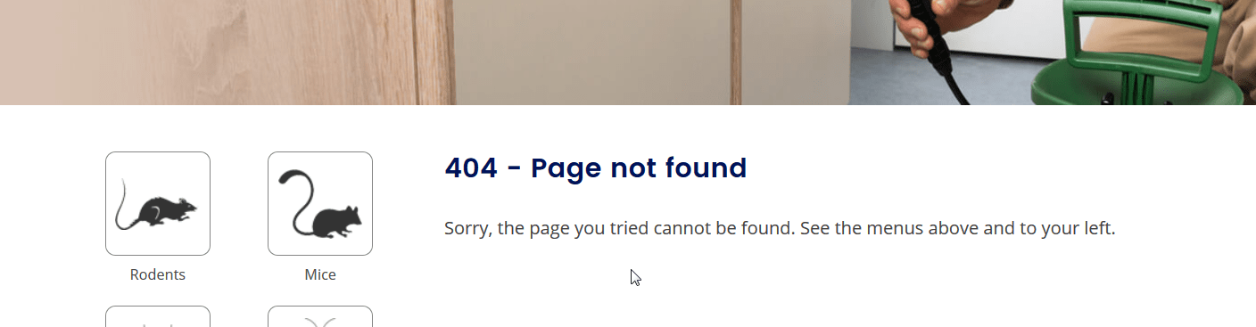 404 Page Example - Error Message